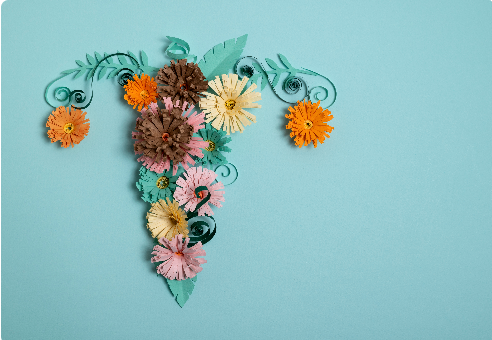 Mezenkimal Kök Hücrelerle Genital Estetik: Hücresel Yenilenme